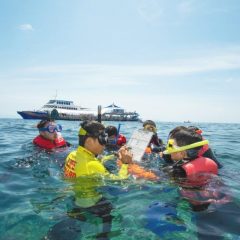 Credit _ Copyright Sunlover Reef Cruises Moore reef Marine Base 2019-03